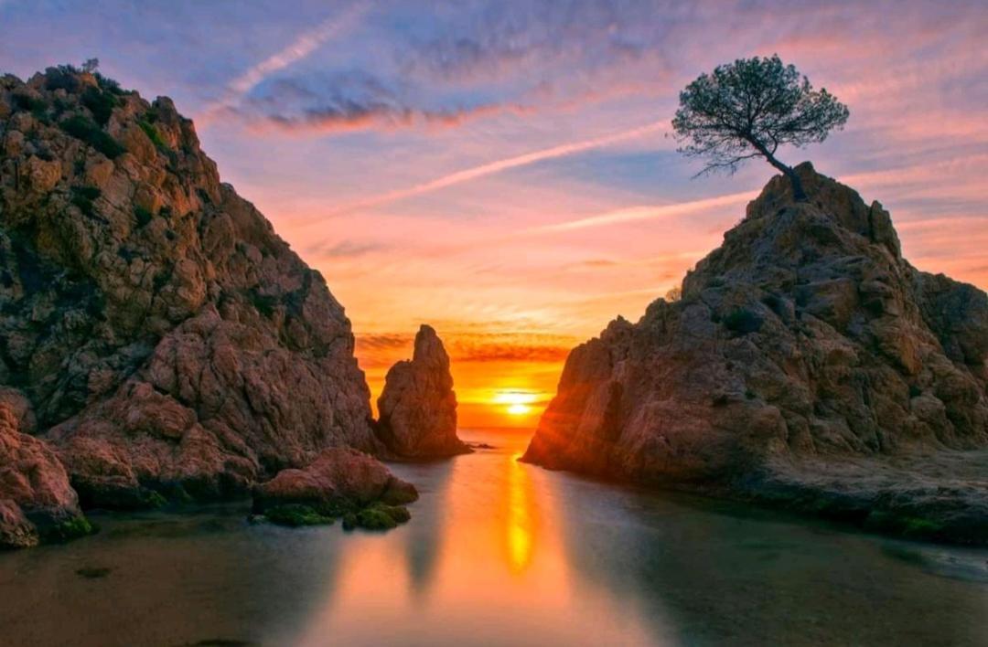 Portal 17 Can Tort Tossa de Mar Dış mekan fotoğraf